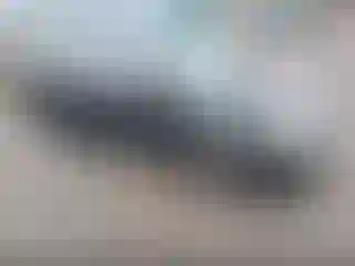 Vehicle Image- 2004 Toyota Corolla