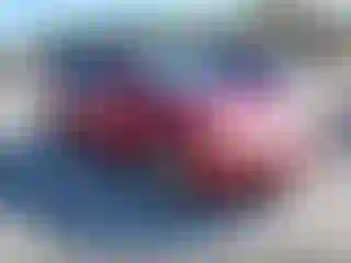 Vehicle Image- 2004 Toyota Corolla