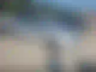 Vehicle Image- 2007 Toyota Corolla