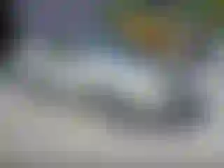 Vehicle Image- 2004 Toyota Corolla