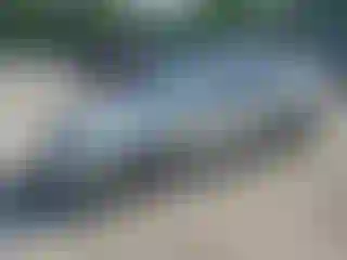 Vehicle Image- 2003 Toyota Corolla