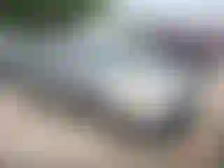 Vehicle Image- 2003 Toyota Corolla