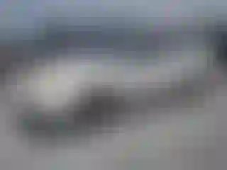 Vehicle Image- 2003 Toyota Corolla