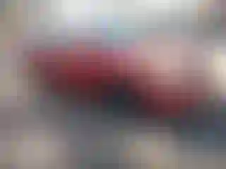 Vehicle Image- 2004 Toyota Corolla