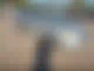 Vehicle Image- 2004 Toyota Corolla