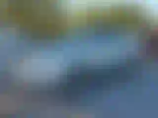 Vehicle Image- 2003 Toyota Corolla