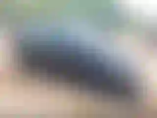 Vehicle Image- 2000 Toyota Echo