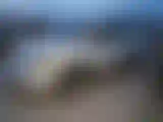 Vehicle Image- 2001 Toyota Echo