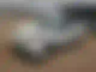 Vehicle Image- 2001 Toyota Echo