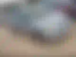 Vehicle Image- 2003 Toyota Echo