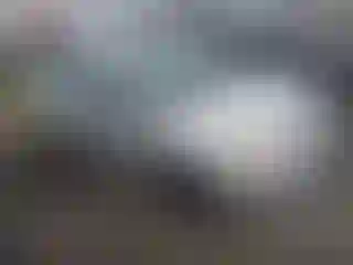 Vehicle Image- 2003 Toyota Echo