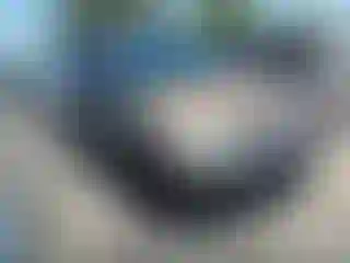 Vehicle Image- 2003 Toyota Echo