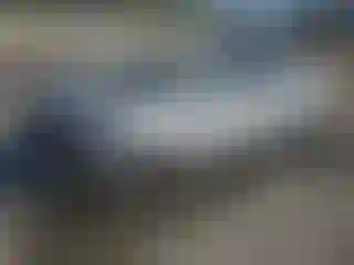 Vehicle Image- 2011 Toyota Corolla