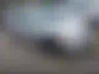 Vehicle Image- 2010 Toyota Corolla