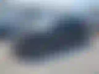 Vehicle Image- 2020 Toyota Corolla
