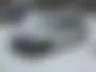 Vehicle Image- 2022 Toyota Corolla