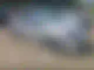 Vehicle Image- 2020 Toyota Corolla