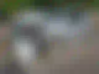 Vehicle Image- 2021 Toyota Corolla