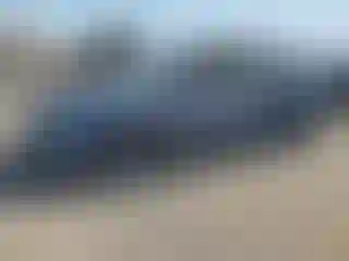 Vehicle Image- 2020 Toyota Corolla