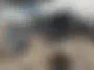 Vehicle Image- 2021 Toyota Prius