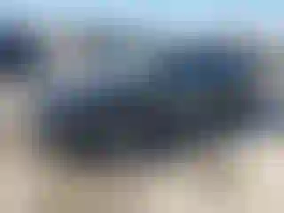 Vehicle Image- 2021 Toyota Prius