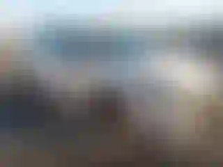 Vehicle Image- 2022 Toyota Prius