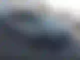 Vehicle Image- 2021 Toyota Prius
