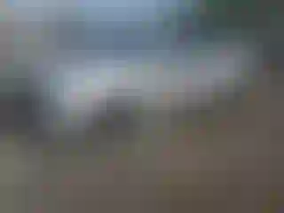 Vehicle Image- 2021 Toyota Prius