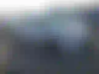 Vehicle Image- 2021 Toyota Prius