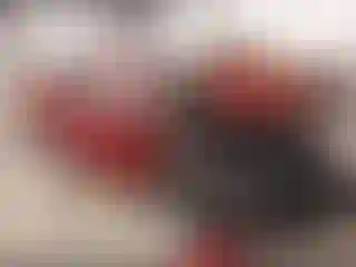 Vehicle Image- 2022 Toyota Prius