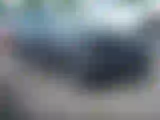 Vehicle Image- 2022 Toyota Prius