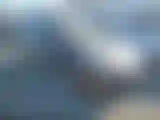 Vehicle Image- 2022 Toyota Prius