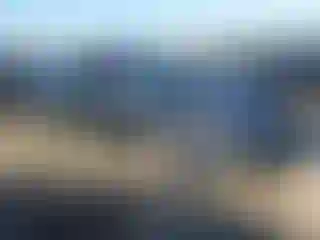 Vehicle Image- 2021 Toyota Prius