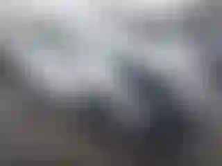 Vehicle Image- 2022 Toyota Prius