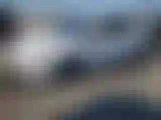 Vehicle Image- 2021 Toyota Prius