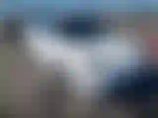 Vehicle Image- 2021 Toyota Prius