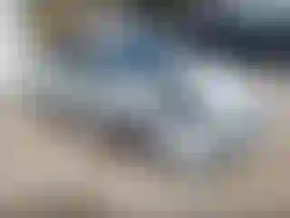 Vehicle Image- 2021 Toyota Prius