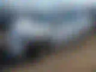 Vehicle Image- 2021 Toyota Prius
