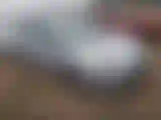 Vehicle Image- 2022 Toyota Prius