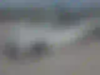 Vehicle Image- 2022 Toyota Prius