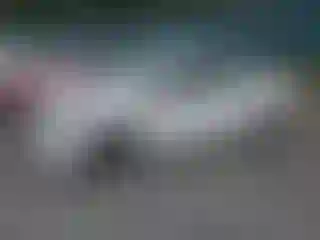 Vehicle Image- 2022 Toyota Prius