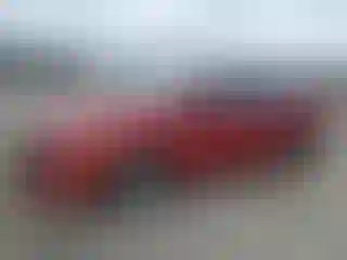 Vehicle Image- 2017 Toyota Prius