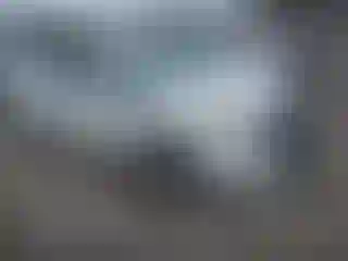 Vehicle Image- 2017 Toyota Prius