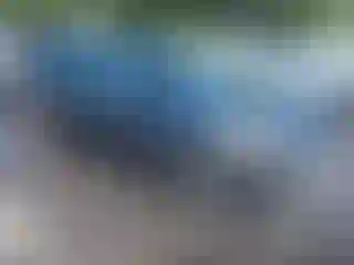 Vehicle Image- 2017 Toyota Prius