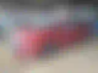 Vehicle Image- 2019 Toyota Prius