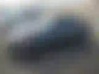 Vehicle Image- 2019 Toyota Prius