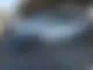 Vehicle Image- 2020 Toyota Prius