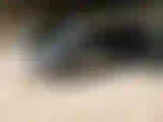 Vehicle Image- 2019 Toyota Prius