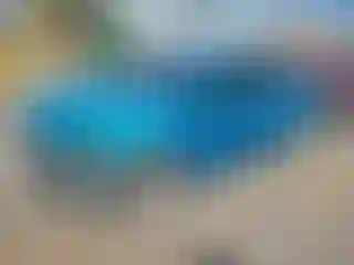 Vehicle Image- 2020 Toyota Prius