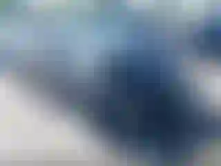 Vehicle Image- 2019 Toyota Prius